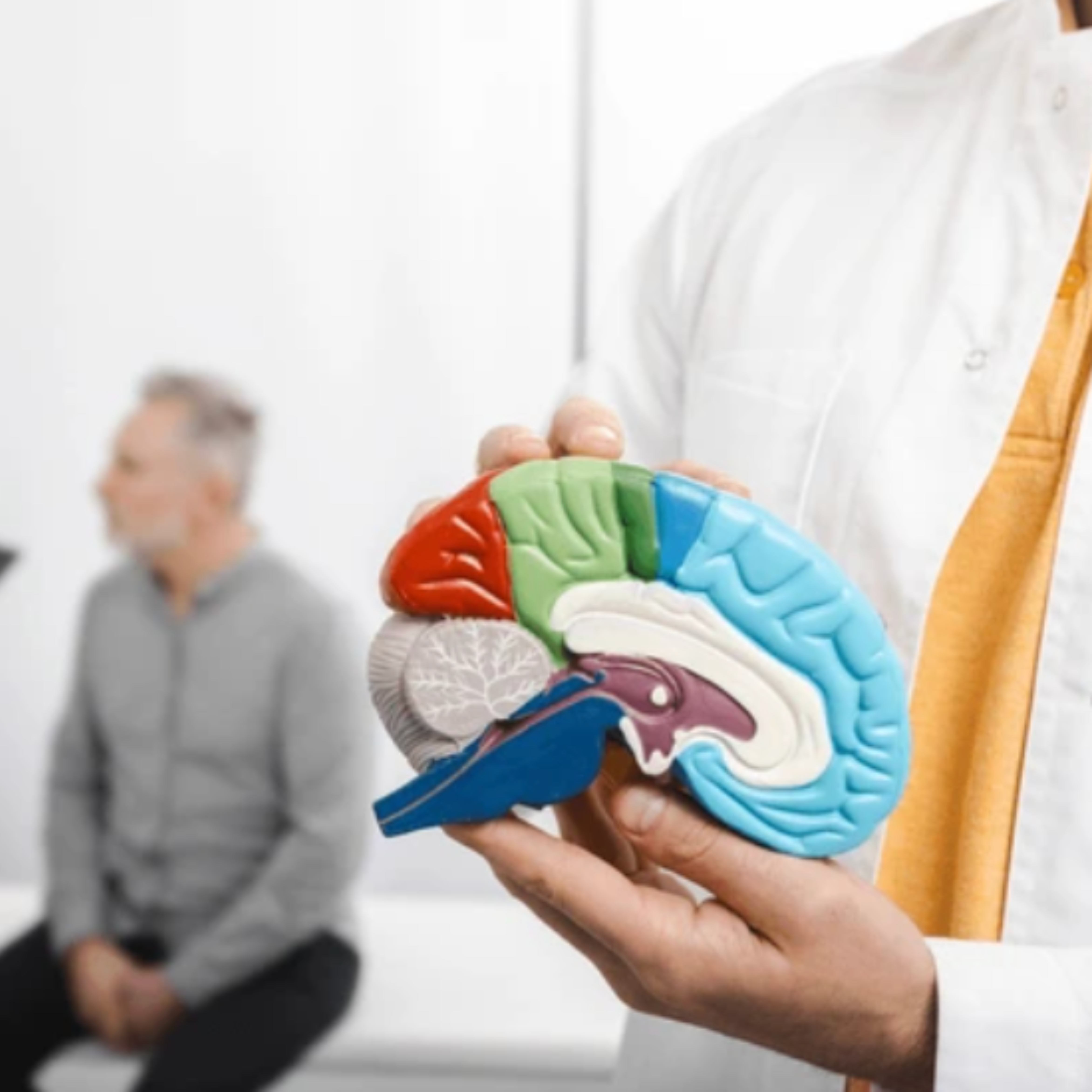 Section image Les bases neurophysiologiques de l’état hypnotique image 1