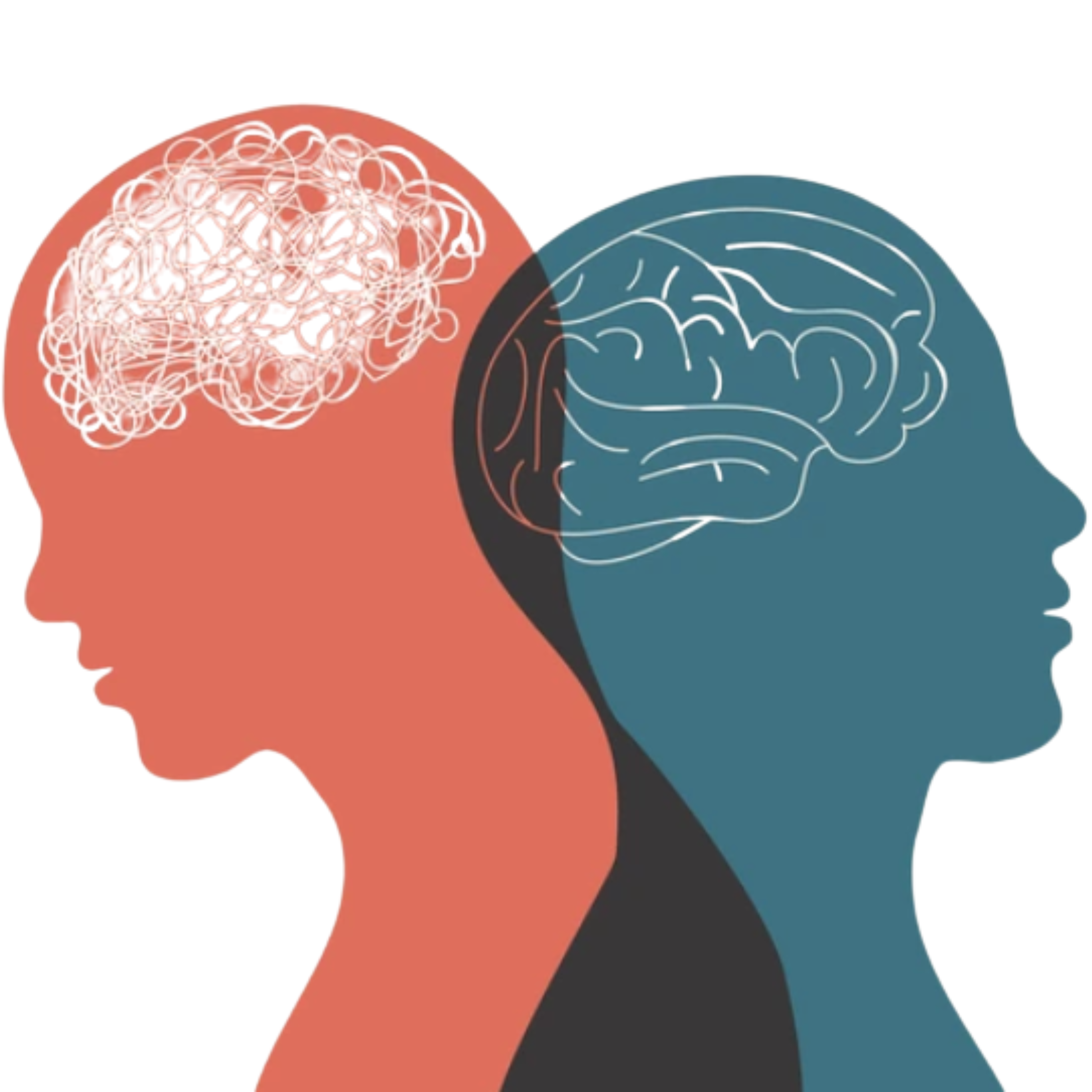 Image 1 Accompagner les troubles émotionnels et psychiques